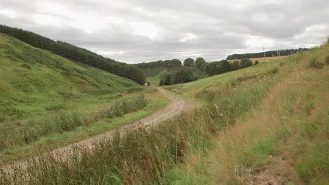 Valley path camera pan Stock-Footage 143735907