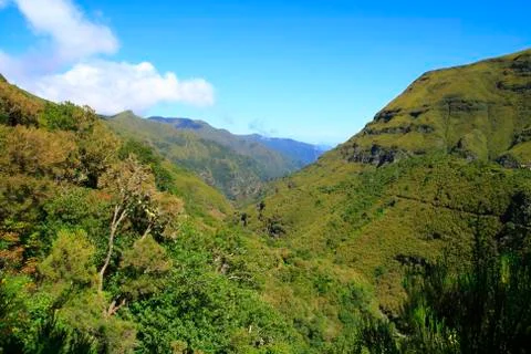 Valley of rabacal Stock Photos
