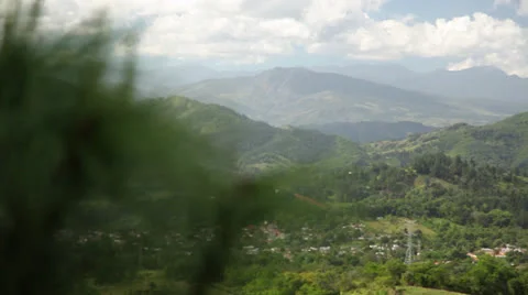 Valley rack focus to pine needles Stock-Footage 26187291