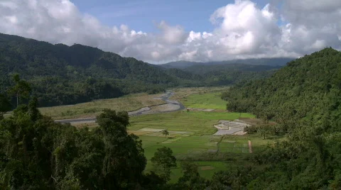 Valley with rain forest borders and square rice fields Video stock 610677