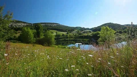 Valley with river and chamomile flowers Stock-Footage 7130657