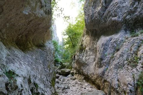 Valley with riverbed between high rocks and some trees Stock Photos