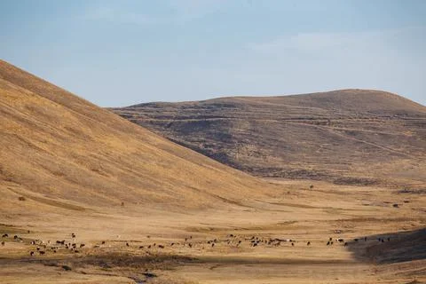 The Valley of Silence Stock Photos