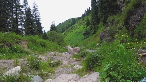 Valley of a small river in the mountains. Nature Stock Footage 132987345