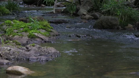 The valley stream is clear Stock Footage 241152879