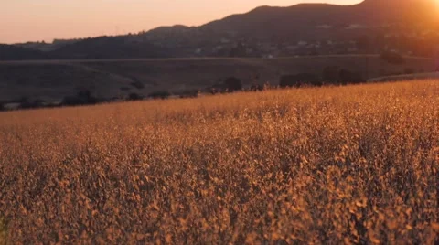 Valley at sunset Stock Footage 54618627