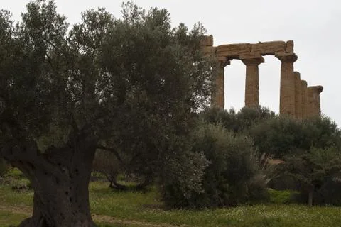 Valley of the Temples, Agrigento Foto stock