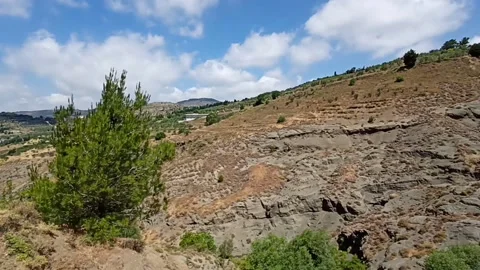 Valley with trees and branches Stock Footage 194376630
