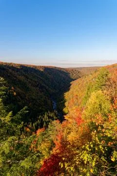 Valley with trees in fall colors Stock Photos
