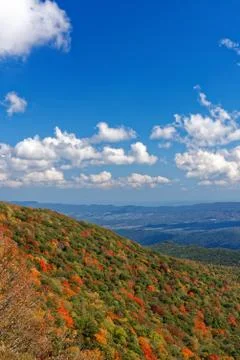 Valley with trees in fall colors Stock Photos