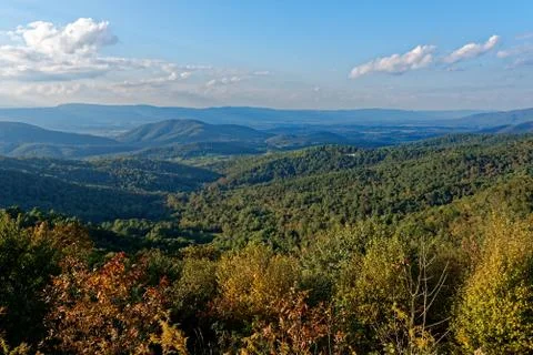Valley with trees in fall colors Stock Photos