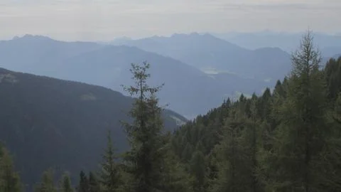 Valley with trees Foto stock
