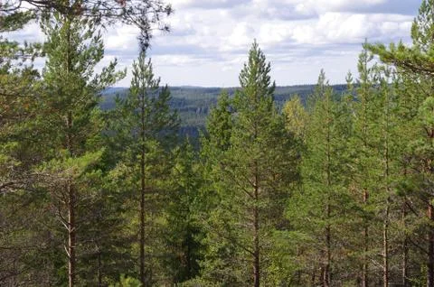 Valley view Stock Photos