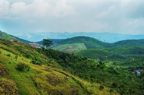 Valley view from the top 库存照片