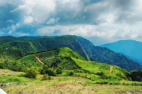 Valley view from the top 库存照片