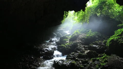 Valley waterfall 库存影片 145859881