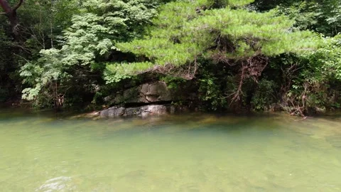 A valley where clear water flows to swim coolly in the hot summer_27 Stock Footage 280179126