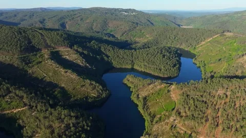 Valleys Covered In Dense Forests From Mirador de San Vicente 動画素材 337776361