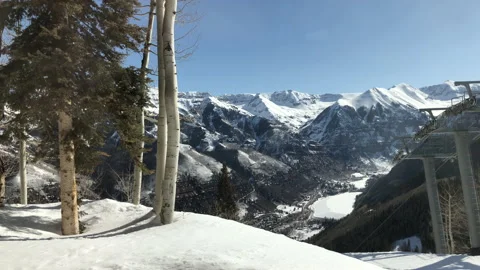 ValleySun Snow Pine Tree Video stock 156941804