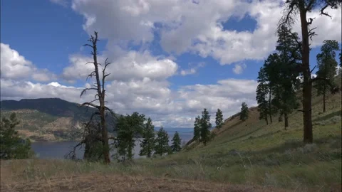 ValleyTimelapse Stock Footage 238360776