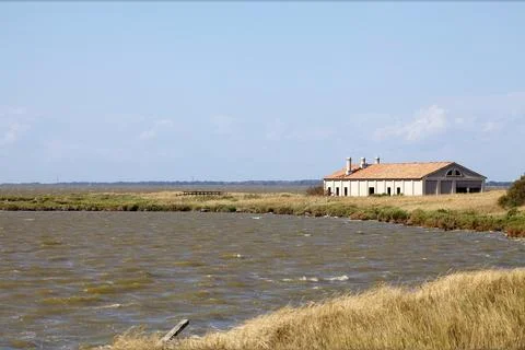 The Valli di Comacchio, fish basin of Comacchio, Comacchio, Italy Foto stock
