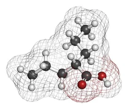 Valproic acid or valproate epilepsy (seizures) drug, chemical structure. Illustrazione stock