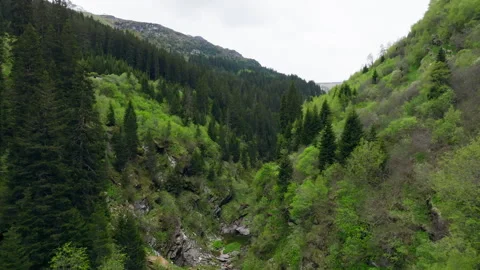 Vals - Cinematic view over its Alpine Dam Stock Footage 312699214