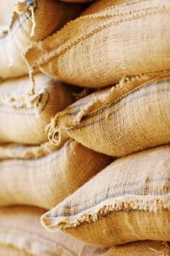 Valuable commodities.... Shot of burlap sacks filled with beans waiting for Stock Photos