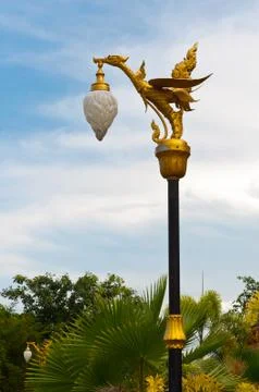 Valuable swan with lamp Foto stock