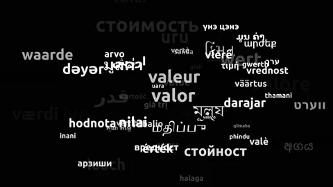 Value Translated in 70 Worldwide Languages Endless Looping 3d Zooming Wordclo Stock Footage