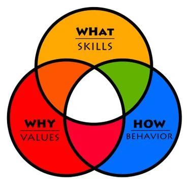 Values skills behavior 스톡 일러스트