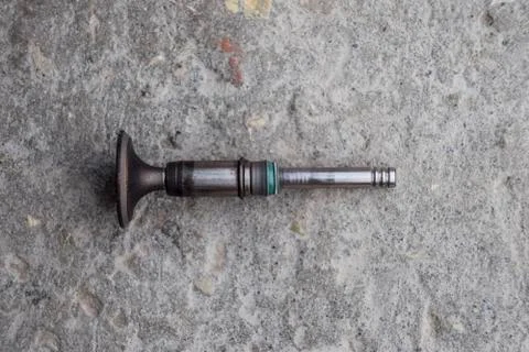 The valve of the engine. Engine part, intake exhaust valve Fotos de archivo