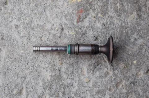 The valve of the engine. Engine part, intake exhaust valve Fotos de archivo
