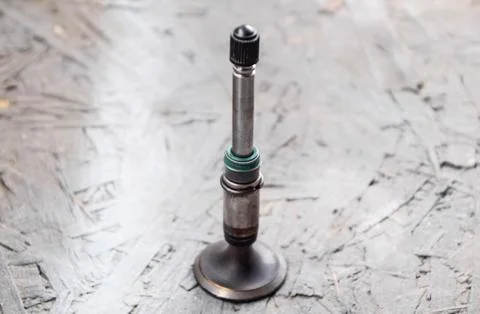 The valve of the engine. Engine part, intake exhaust valve Fotos de archivo