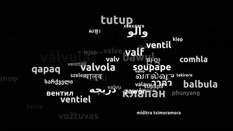 Valve Translated in 62 Worldwide Languages Endless Looping 3d Zooming Wordclo Video stock 145203656
