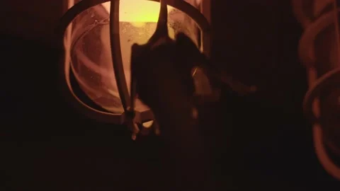 Vampire bat hanging on light bulb in dark room Stock Footage 228633095