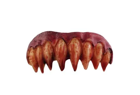 Vampire or monster sharp teeth in blood isolated on white background Stock Photos