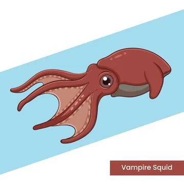 Vampire Squid Deep Sea Creature Vector Illustration Stock Illustration