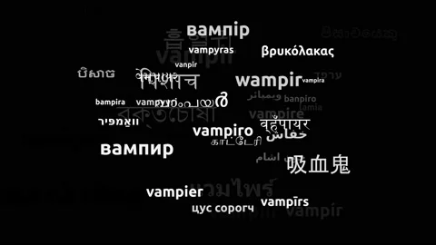 Vampire Translated in 44 Worldwide Languages Endless Looping 3d Zooming Wordc Video stock 145200337