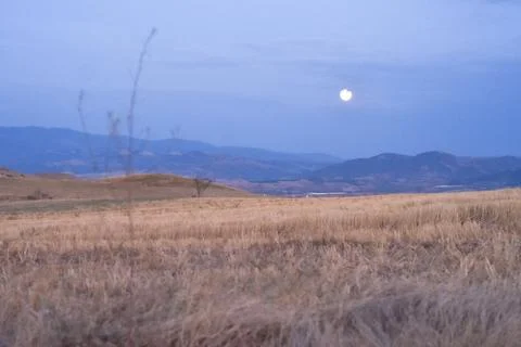 VAN 0455 Stock Photos