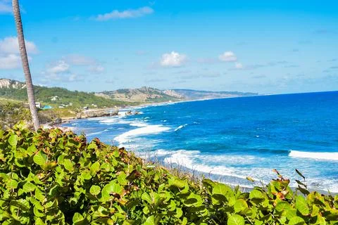 VAN 8180 Stock Photos