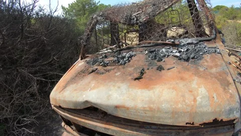 Van destroyed by fire and abandoned. Vídeos de archivo 250331275