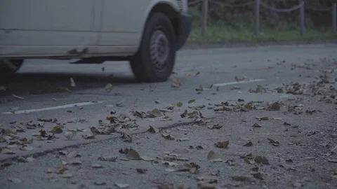 Van driving by blowing fall leaves Stock Footage 106522011