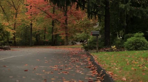 Van driving down suburban st. Stock Footage 48337498