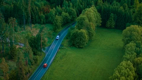 Van driving on narrow road through green forest. White minivan moving along Stock Footage 312783861