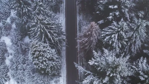 A van driving on a street in an winter forest filmed from above in 4k Stock Footage 144448982