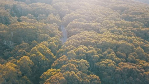 Van driving through the woods Video stock 129221694