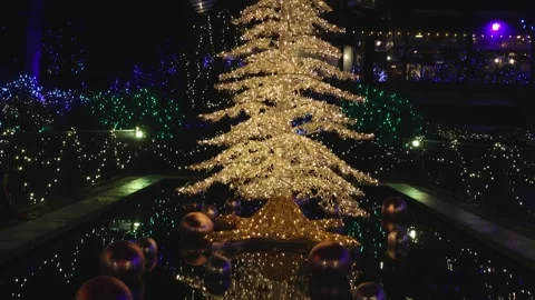 Van Dunsen Festive Tree. Editorial Use Only. Stock Footage 261212571