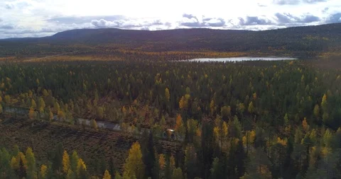 Van on a forest road, Aerial, tracking, drone shot, following a car, driving  Stock Footage 118701173