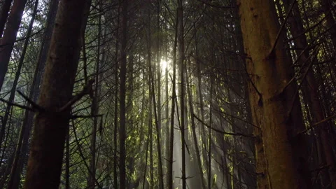 Van island 0052 Stock Footage 223380184